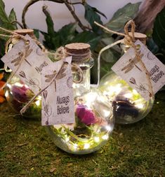 three glass jars filled with flowers sitting on top of a grass covered ground next to plants