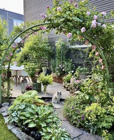 a cat sitting in the middle of a garden with lots of flowers and plants around it