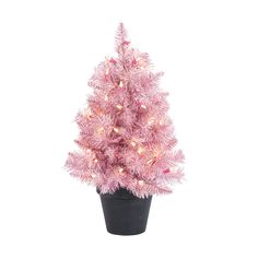 a small pink christmas tree in a black pot with lights on the top and bottom