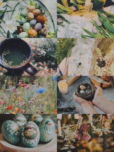 a collage of photos with flowers, eggs and other things on it's surface