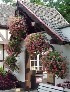 a white house with pink flowers growing on the roof and window boxes in front of it