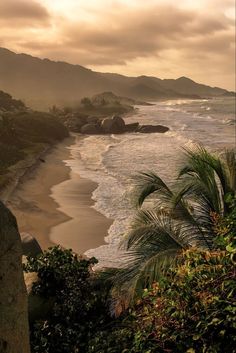 the beach is lined with palm trees and rocks