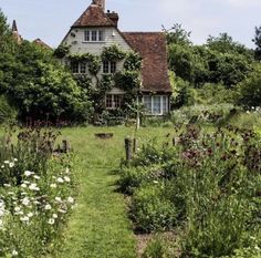 an old house in the middle of a field with lots of flowers and plants around it