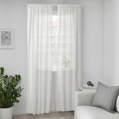 a living room with a white couch and large potted plant in front of the window