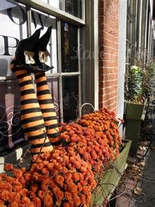 a bunch of orange flowers sitting on top of a window sill in front of a store