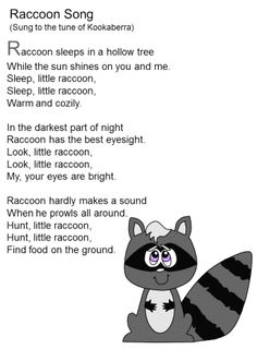 the raccoon song is written in black and white