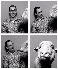 four pictures of a man holding up a sheep's head to show how it looks like