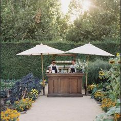 two men sitting at an outdoor bar in the middle of a garden with sun shining on them