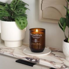 a candle sitting on top of a counter next to a potted plant