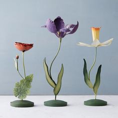 three different types of flowers are shown in this image