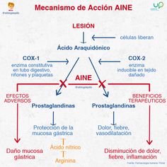 a diagram with words and arrows in spanish