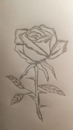 <3 Aesthetic Rose Sketch, Simple Scetch Drawings Easy, Drawing Ideas Easy Rose, Easy Rose Sketch, Random Sketches Creative Easy, Art Sketchbook Ideas Aesthetic Simple, Simple Drawing Ideas Easy Creative, Rose Aesthetic Drawing, Simple Drawing Ideas Easy Pencil