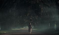 a person standing in the middle of a dirt road with trees on both sides and fog