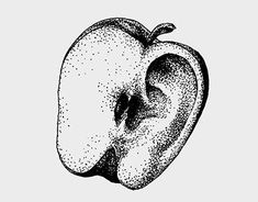 an apple is shown in black and white on a light gray background, vintage style