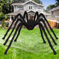 a large black spider sitting on top of a lush green field next to a house