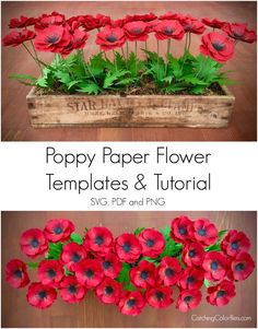 poppy paper flower templates and floral arrangement in a wooden box with text overlay