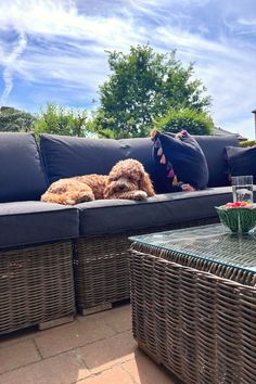 Cute dog sits on rattan garden furniture - modular sofa and coffee table with glass top. Navy blue seat and back cushions with matching navy blue scatter cushions edged with multicolour tassels. Outdoor Sectional Sofa, Outdoor Living Space, Sofa Set, Secret Garden