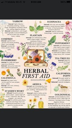 Herbs For Beginner Herbalist, Herbal Drawings Botanical Prints, Topical Herbal Remedies, Herbs To Reduce Swelling, Herbal Remedy Recipes, Herbs For Medicine, Herbs For Lungs, Herbs For Women, Herbs For Skin