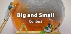 two figurines sitting on top of a wooden shelf next to an orange with the words, big and small contest contest