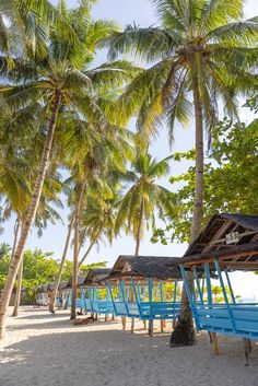 a row of blue benches sitting on top of a sandy beach next to palm trees