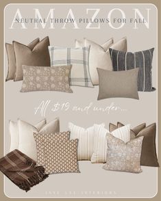 pillows for fall and winter are featured in the advertizer's website, which features