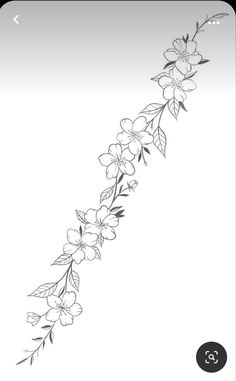 a line drawing of flowers on a white background