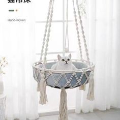 a cat is sitting in a hammock with tassels