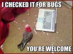 a small bird sitting on the floor next to a book with words written in it