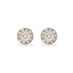 A contemporary design of pave' diamonds set in 14kt yellow gold, these classic halo stud earrings will keep you looking chic and polished. Details: • 14kt Yellow Gold• 22 Round Diamonds • 0.16 carats • Size: 4mm Diamond Earrings Design, Halo Stud Earrings, Halo Earrings Studs, Diamond Earring, Holiday Jewelry, Diamond Halo, 14kt Gold, Diamond Studs, Halo Diamond