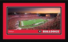 a football stadium filled with people and fans at sunset or dawn, with the words bulldogs on it