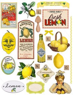 an assortment of lemons and labels on a white background