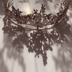 a tiara with flowers and leaves casts a shadow on the wall