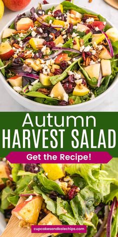 an autumn harvest salad with apples, cranberries and feta cheese on top