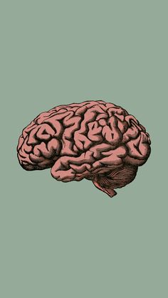 a drawing of a human brain on a green background, with the left side of the brain visible