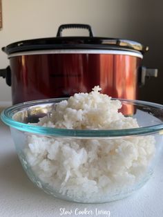 rice in a bowl next to an instant pot