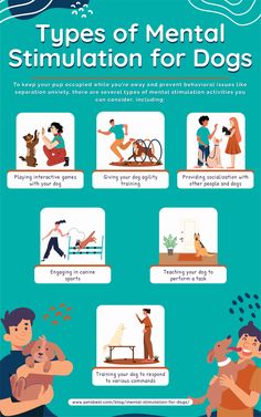 an info sheet describing the types and uses of mental strain for dogs, including how to use