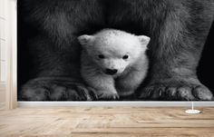 a black and white photo of a bear with its cub