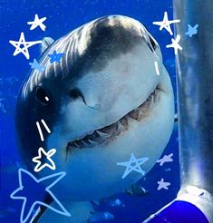 an image of a shark in the water with stars on it's back side