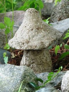 a mushroom sitting on top of a pile of rocks