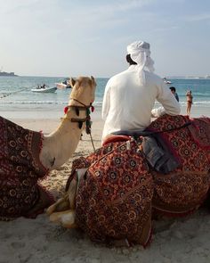 a man riding on the back of a camel down a sandy beach next to the ocean