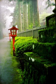 a red lantern sitting on the side of a lush green forest