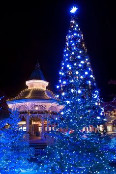 a lit christmas tree in front of a gazebo at night with lights on it