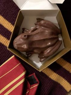 a chocolate frog in a box with a tie