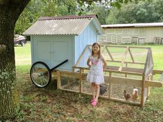 Tractor Idea, Coop Design, Chicken Run, Chicken Coop Designs