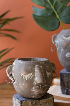 a planter with eyes on it sitting next to a potted plant