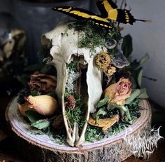 an animal skull with flowers and butterflies on it's head sitting on top of a tree stump