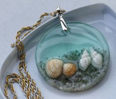 three seashells are in the water under a glass dome on a plate with gold chains