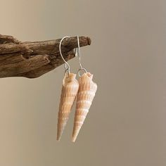 Dainty Auger Seashell Earrings 1 3/8 Inch - Etsy Ocean-inspired Shell Earrings As Gift, Ocean-inspired Shell Earrings For Gifts, Nickel Free Ocean-inspired Shell Jewelry, Nickel-free Ocean-inspired Shell Jewelry, Beachy White Shell Earrings, Unique Shell Earrings For Beach, Nickel-free Shell Dangle Earrings, Sterling Silver Shell Necklace For Beach, Handmade Spiral Earrings For Beach