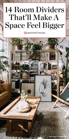 a living room filled with furniture and plants