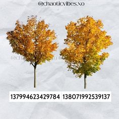 two trees with yellow and orange leaves in front of a white background that has the same number on it